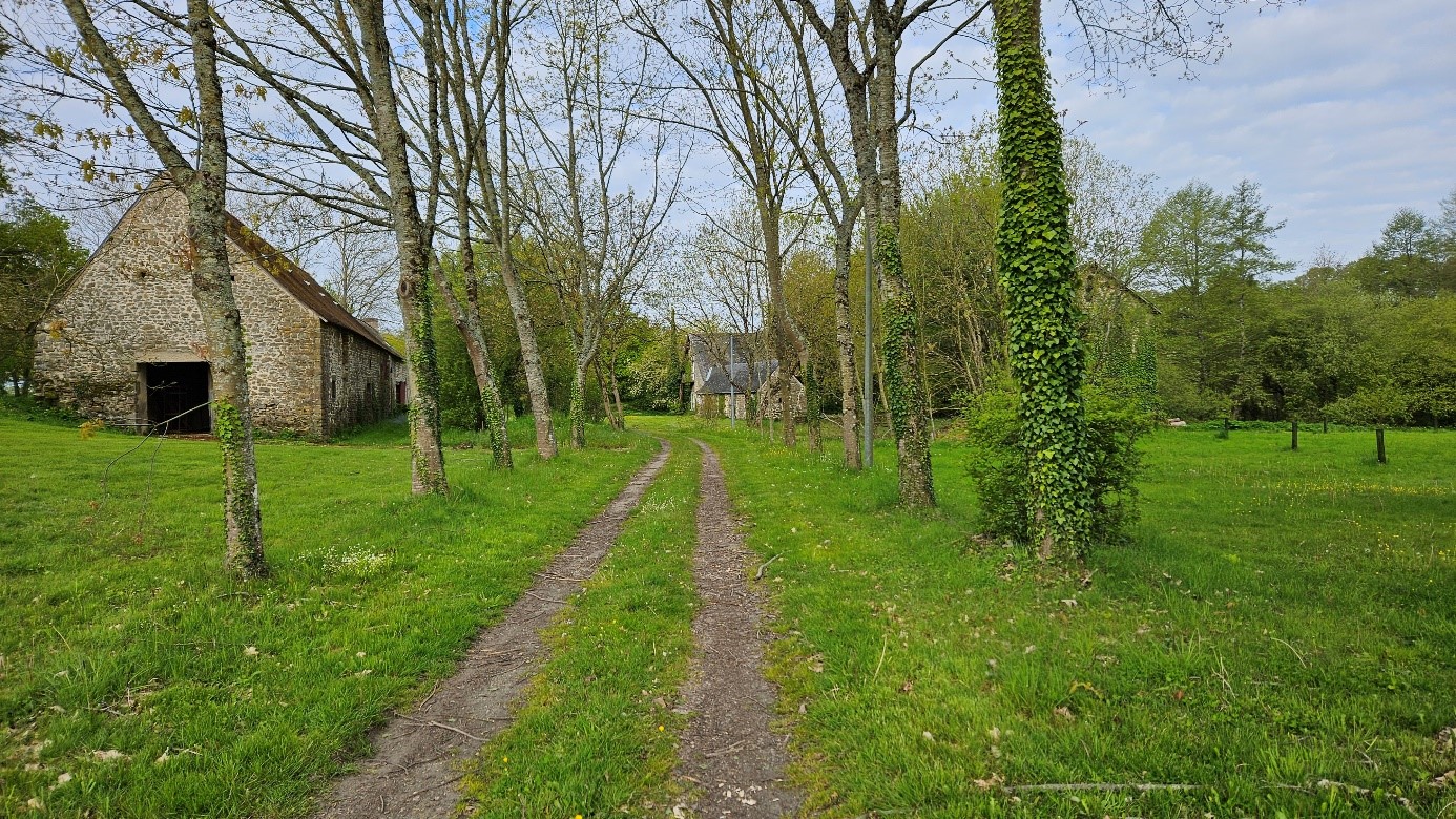 Image1