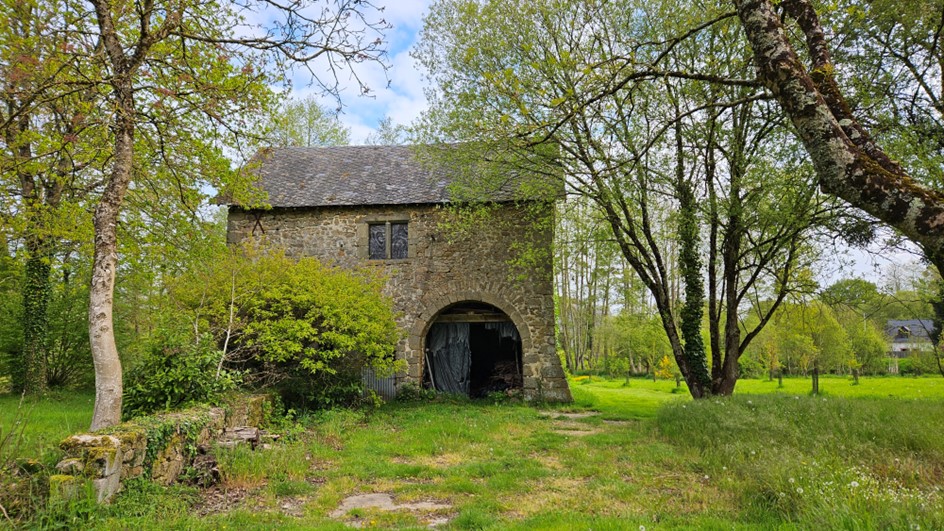 Image10
